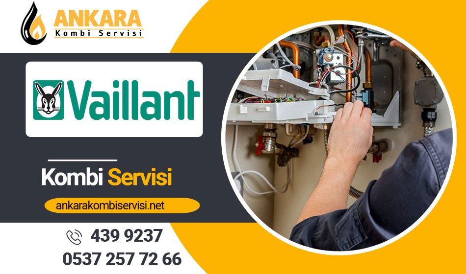 Ankara Vaillant Kazan Servisi 